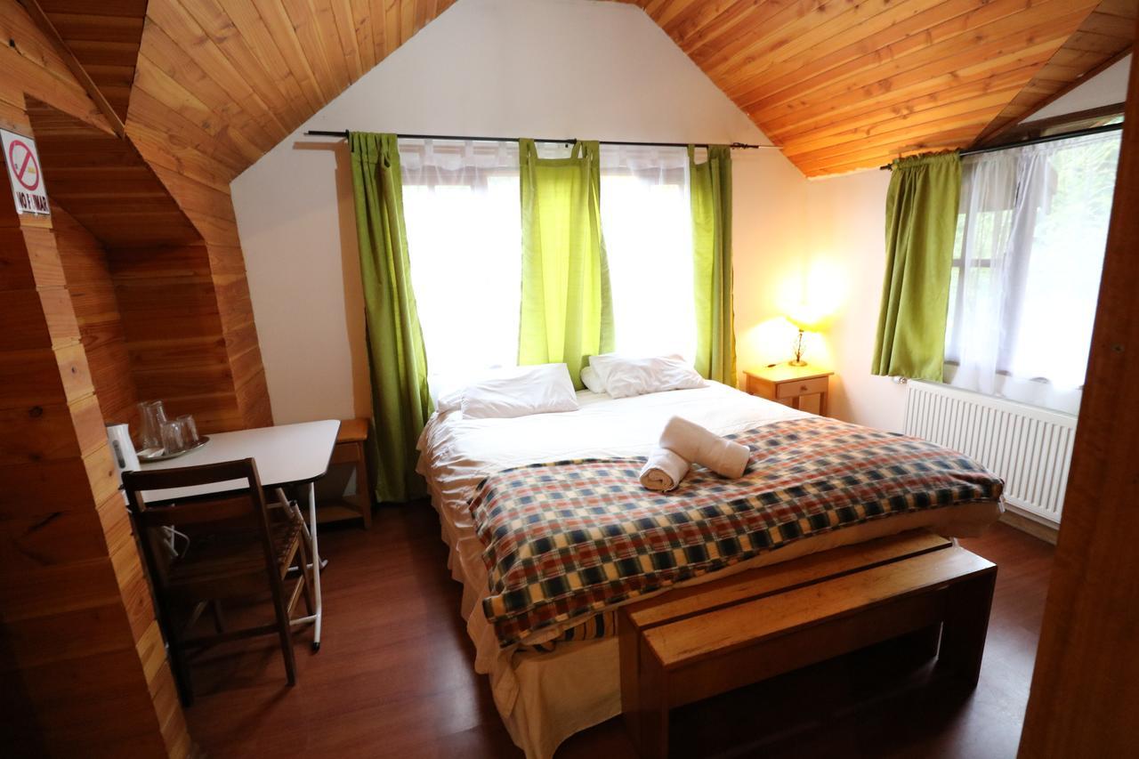 Santa Maria Pucon Hotel Ngoại thất bức ảnh